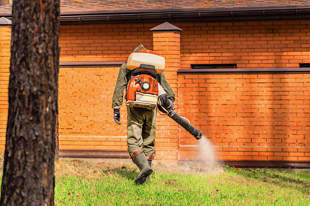 Trusted Mosquito Control service in South Greensburg, PA - Nex Pest Control
